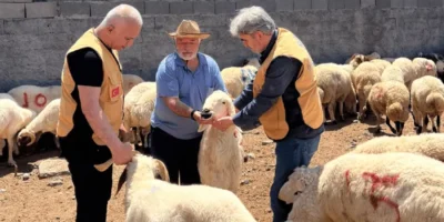Neden Gazze’ye Kurban Bağışı Yapmalısınız?